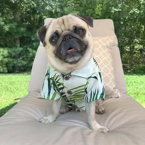 Customized Pet T-shirt Hawaiian Style Puppy Clothes Luxury Short-sleeved Buttoned Polyester Pet Leisure Shirt For Dogs And Cats