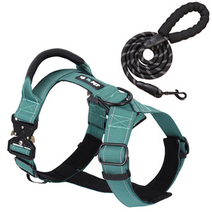 Conjunto de Correa y Arnés Ajustable para Perro de Nailon con Asa Acolchada y Costuras Reflectantes - Product Image 1