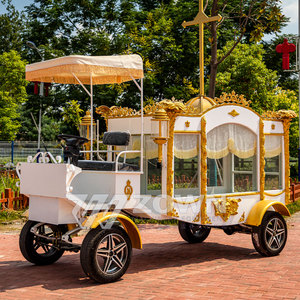 ZOWN Индивидуальный новый электрический ритуальный катафалк, ритуальные принадлежности, ритуальный катафалк с лошадиной тягой, специальный транспортный фургон - Product Image 3