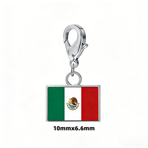 Nuovo Charm Personalizzato con Bandiera Nazionale Argentata per le Partite Mondiali 2026, in Acciaio Inossidabile, per Creazione Gioielli Fai da Te, Braccialetti per Donna e Uomo - Product Image 5