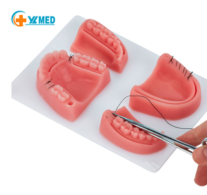 Almohadilla de práctica de sutura para entrenamiento Dental, simulador de dientes, Dental, Ciencia Médica Quirúrgica, directo de fábrica - Product Image 1