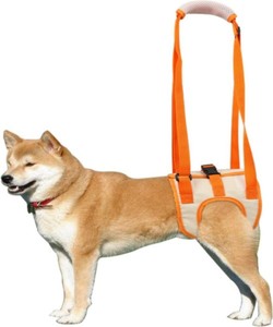 Kingtale-Arnés de elevación Oxford aprobado por veterinarios para perros, lesiones en las articulaciones de la cadera, patrón sólido, cabestrillo, pierna trasera, arnés para perros sostenible - Product Image 1
