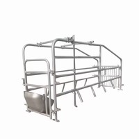 Cage de mise bas économique pour truies 2,2*0,7m, lit simple pour truies, positionnement des truies, ferme d'élevage avec abreuvoir en acier inoxydable en option