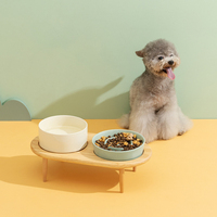 Bol à alimentation lente pour petit chien, surélevé pour chat, bols en céramique avec support en bois, assiette à nourriture et à eau pour animaux de compagnie