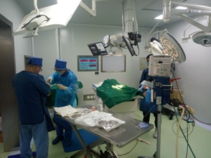 Chụp X Quang Kỹ Thuật Số Động Vật Hopital DR Xray Hình Ảnh Động Vật Máy Quét <span class=keywords><strong>CT</strong></span> Thú Y Cung Cấp Siêu Âm - Product Image 3