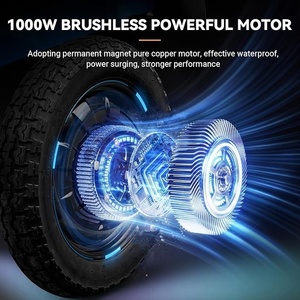 China Electric Three-Wheel Adult Tricycle Motorcycle 60v Motorized Tricycles for Cargo and Passenger Use - Product Image 4