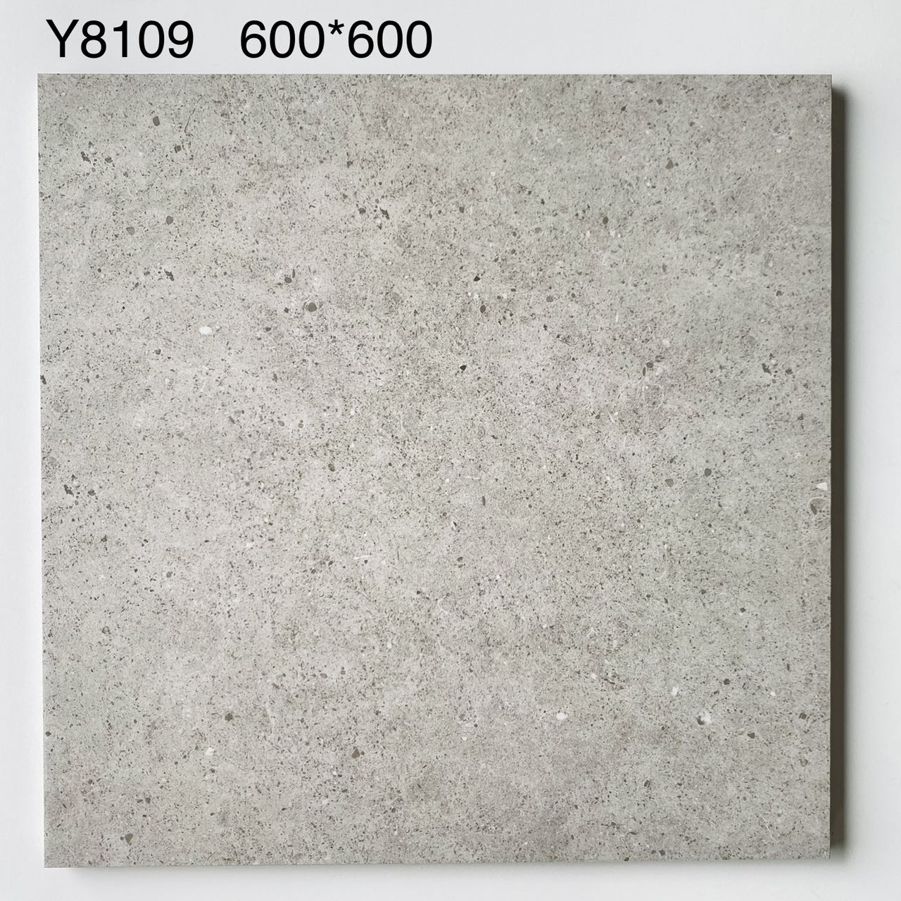 Y8109