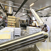 ZLG Model Industriële Automatische PLC-Gestuurde Trillende Vloeibeddroger voor Rode Linzen met Competitieve Prijs
