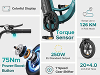 Vélo électrique cargo EU Engwe L20 Boost 48V 13Ah avec batterie au lithium, moteur 250W, écran LCD couleur, vélo électrique de ville