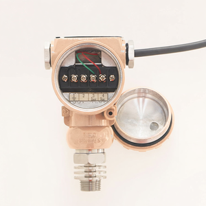Sensor de Temperatura PT100/PT1000 de Fácil Instalación OEM/ODM con Pantalla LCD, Acero Inoxidable, IP65, 27 Sensores de Temperatura con Pantalla LCD - Product Image 3
