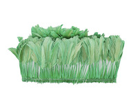 Coq Coque queue poulet coq plume pour artisanat bricolage Costume chapeau accessoire scène fête carnaval vacances décor