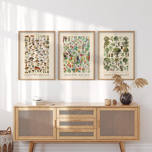 HAOWAI OEMODM Lot de 3 impressions murales, Impressions botaniques <span class=keywords><strong>Adolphe</strong></span> Millot, Art mural Champignons Fleurs Arbres, Décoration intérieure Cottagecore - Product Image 1