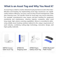 Balise de suivi des actifs programmable, traceur GPS, Eddystone, iBeacon, IoT, balise Lora, balise Bluetooth BLE pour le suivi de l'emplacement des actifs