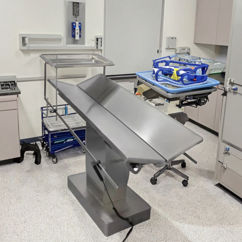 Factory Direct Sales Veterinary Hospital Surgical