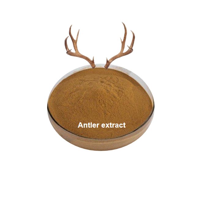 Deer Antler bubuk ekstrak beludru 10:1 20:1 ekstrak Velvet