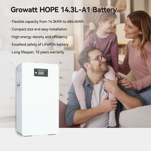 그로우와트 주거용 LV 배터리 희망 14.3L-A1/<span class=keywords><strong>P1</strong></span> - Product Image 2