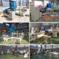 Extrudeuse de granulés d'aliments pour animaux domestiques, poissons et poulets, petite machine portable pour la fabrication de granulés d'aliments