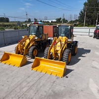 Chargeuse frontale diesel compacte et robuste de 2 tonnes avec moteur Weichai, haute efficacité, à vendre