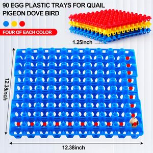 PRODUCTOS AGRÍCOLAS Bandeja para Huevos de Codorniz de <span class=keywords><strong>90</strong></span> Cavidades en Color Azul, Rojo y Amarillo, para Codornices, Palomas y Aves, Cartón Plano - Product Image 6