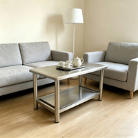 Mesa de Centro Desmontable de Acero Inoxidable de Doble Capa, Muebles para el Hogar, Oficina, Hotel, Restaurante, Mesa Auxiliar, Mesas Esquineras