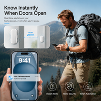 Sensor de Puerta Zigbee al por Mayor, Interruptor de Contacto Magnético, Dispositivo de Seguridad Inteligente para el Hogar Estándar Tuya/Zigbee, OEM ODM