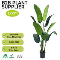 Vente en gros de palmiers du voyageur artificiels écologiques de 160 cm, plantes sur pied pour les chaînes de magasins, Pâques, anniversaires