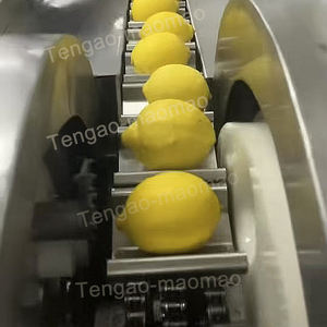 Endüstriyel büyük kapasiteli limon dilimleme/meyve elma portakal kivi limon dilimleme makinesi/ticari limon dilimleme üretim hattı - Product Image 4