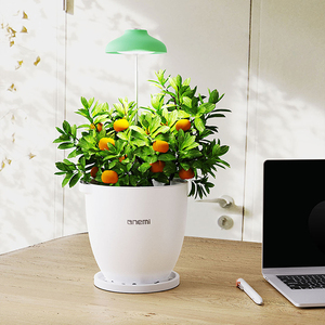 Wifi-kết nối trong nhà Mini vườn tăng trưởng thực vật ánh sáng thân thiện với môi nhà chậu Chiều cao có thể điều chỉnh cho tối ưu thực vật khái niệm chăm sóc - Product Image 1