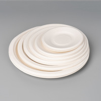 Assiettes en papier jetables de fête ovales biodégradables en bagasse compostable de 12 pouces