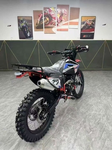 Nouvelle moto tout-terrain 6 vitesses aspirée avec une cylindrée de 300 cm³ pour les propriétaires de chiens 300 cm³ 300 cm³ Moto tout-terrain - Product Image 5