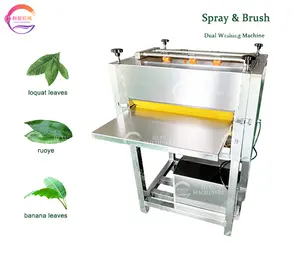 Bovenste En Onderste Borstels Laten Reinigingsapparatuur Groene Bladeren Sproei Water Wasmachine