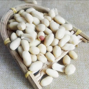 Nuevas llegadas de cacahuetes blanqueados crudos, granos enteros, seleccionados ópticamente, 99.9% de pureza, suministro a granel de fábrica para marcas de chocolate - Product Image 3