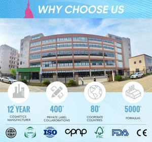 中国发油制造商摩洛哥坚果油天然卷发保湿修复平滑有机护理配方 - Product Image 6