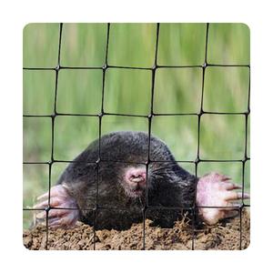 Meyve kafesi plastik kare Net PP köstebek kontrol Mesh - Product Image 3