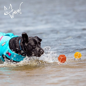 Yeni evcil belirsiz topları bulmaca kauçuk interaktif çiğnemek köpek oyuncaklar agresif <span class=keywords><strong>Chewers</strong></span> için - Product Image 4