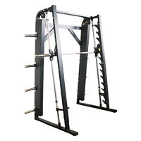 Équipement de fitness multifonctionnel Smith Gantry Liva LW-1036 en acier au carbone pour salle de sport commerciale, avec barres de dips et rack à barres, garantie 1 an