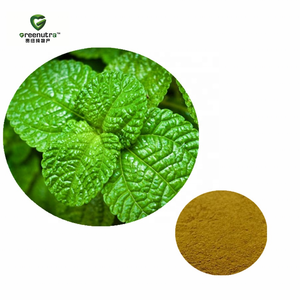 Estratto di menta piperita pura in polvere con mentolo e mentolo di cristallo per materie prime cosmetiche - Product Image 1