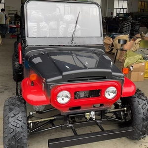 Popolare Buggy Classico 350cc, Go-Kart con Motori Elettrici 250cc, Mini Jeep Automatica a 2 Posti in Vendita - Product Image 6