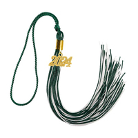 Rayon Forest Gold Graduation Honor Tassel avec breloque 2024 ans 9"