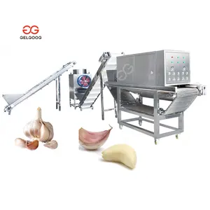 Nieuw Type Japanse Knoflook Peeling Machine/Knoflook Droge Dunschiller Machine