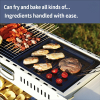 Barbecue au charbon de bois portable, barbecue détachable avec pare-vent et poignée en bois, pour le camping en plein air, les pique-niques, les fêtes