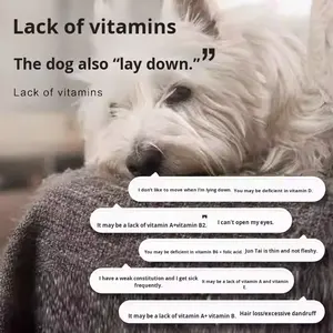 Suplemento nutricional multivitamínico para mascotas en todas las etapas Suplemento diario para la salud de mascotas Mejora la condición física de gatos y perros - Product Image 5