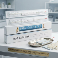 Cathéter Canin Professionnel Multi-Tailles, Cathéter Urinaire Jetable pour Chien avec Surface Lisse