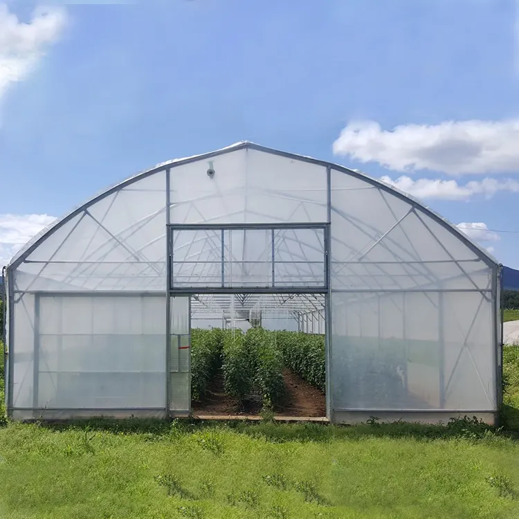 30X10เมตรโครงเหล็กชุบสังกะสีฟิล์ม PE สำหรับเรือนกระจกสวนเพื่อการเกษตรอุโมงค์ช่วงเดียว