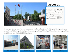 25kg Bloco Inferior Cavalo Animal Feed Bag 50kg BOPP Tecido Polipropileno <span class=keywords><strong>para</strong></span> Fertilizantes Orgânicos Embalagem Heat-Sealed Valve Handle - Product Image 2