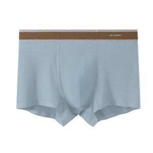 Nouveaux caleçons pour hommes en coton et viscose, taille mi-haute, doux, respirants, antibactériens, tissage uni, Shantou, sous-vêtements d'automne et d'hiver - Product Image 5