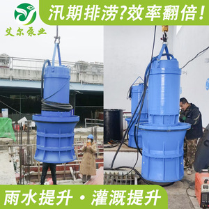 <b>Submersible</b> Mixed Flow <b>Pump</b> For Irrigation And Water Transfer Energy Saving Design - Product Image 5