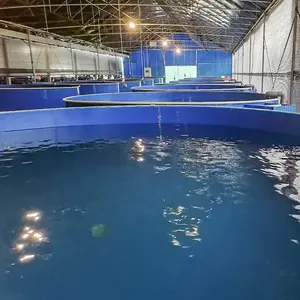 Sistema de acuicultura para trucha de Coral, jaula flotante para peces, agricultura de peces, Ras, alimentadores de peces, proveedor profesional