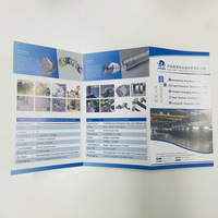 Impression offset professionnelle sur mesure de dépliants format A4, conception de flyers avec dorure, brochure, reliure parfaite avec papier de qualité supérieure