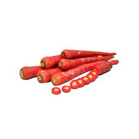 Zanahoria Híbrida F1 para Cultivo Profesional, 99% de Pureza, 85% de Germinación, Alto Potencial de Rendimiento, Excelente Uniformidad de Raíces